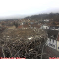 13_45-nest.jpg
