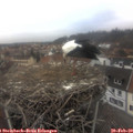 13_55-nest.jpg