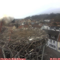 14_10-nest.jpg