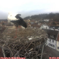 14_20-nest.jpg