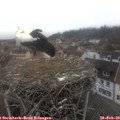 14_25-nest.jpg