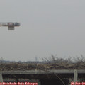14_45-mast.jpg