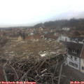 14_45-nest.jpg