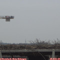 14_55-mast.jpg