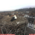 15_05-nest.jpg