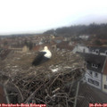 15_10-nest.jpg