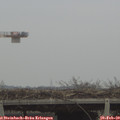 15_25-mast.jpg