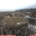 15_25-nest.jpg
