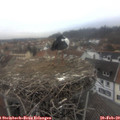 15_30-nest.jpg
