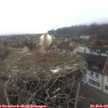 15_40-nest.jpg