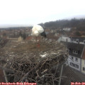 15_45-nest.jpg