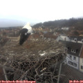 16_00-nest.jpg