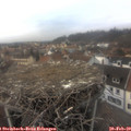 16_10-nest.jpg