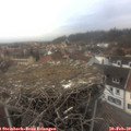 16_15-nest.jpg