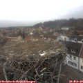 16_20-nest.jpg