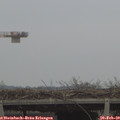 16_25-mast.jpg