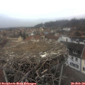 16_25-nest.jpg