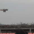 16_30-mast.jpg