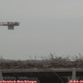 16_35-mast.jpg