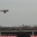 16_40-mast.jpg