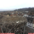 16_40-nest.jpg