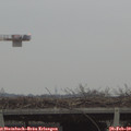 16_45-mast.jpg