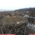 16_45-nest.jpg