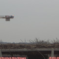 16_50-mast.jpg