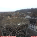 16_55-nest.jpg