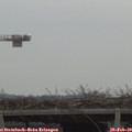 17_00-mast.jpg