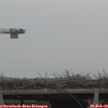 17_05-mast.jpg