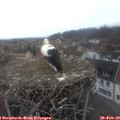 17_15-nest.jpg