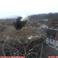 17_25-nest.jpg