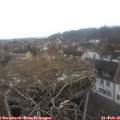 07_30-nest.jpg