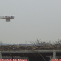 07_35-mast.jpg