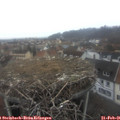 07_35-nest.jpg