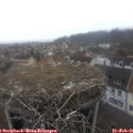 07_50-nest.jpg