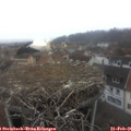 08_00-nest.jpg