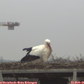 08_05-mast.jpg