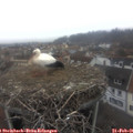 08_05-nest.jpg