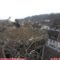 08_10-nest.jpg