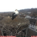 08_20-nest.jpg