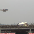 08_30-mast.jpg