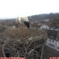 08_35-nest.jpg