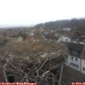 08_45-nest.jpg