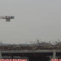 08_50-mast.jpg