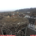 09_00-nest.jpg