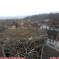 09_05-nest.jpg