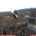 09_40-nest.jpg