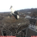 09_55-nest.jpg